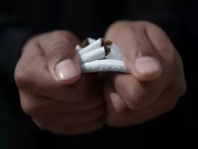 CM Chandrababu: ముడి పొగాకుపై పన్ను తొలగింపు