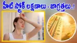 Summer Health Tips Telugu: వడదెబ్బ నుంచి తప్పించుకోవాలా? ఈ 5 చిట్కాలు పాటిస్తే మీరు సేఫ్