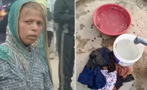 తేనెటీగల దాడి.. 20 మంది చిన్నారుల కోసం ప్రాణత్యాగం చేసిన కుక్