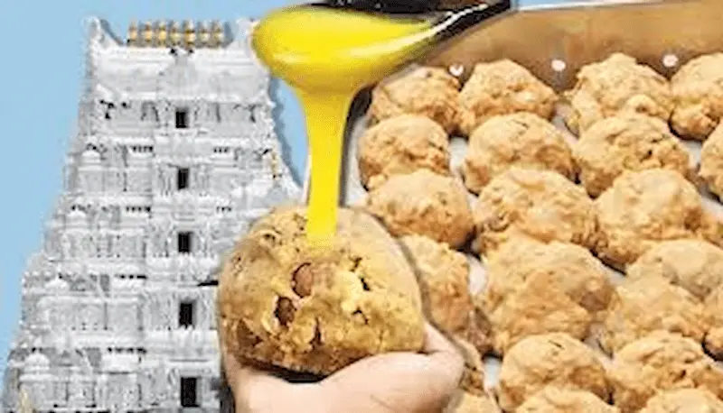 AP: శ్రీవారి నెయ్యి కల్తీపై కేబినెట్ సమీక్ష