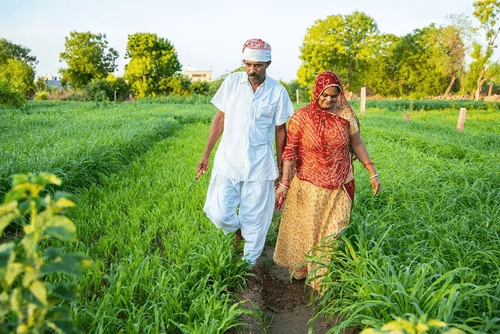 Andhra pradesh: రైతులకు గమనిక.. 11 అంకెల ఐడీ తప్పనిసరి