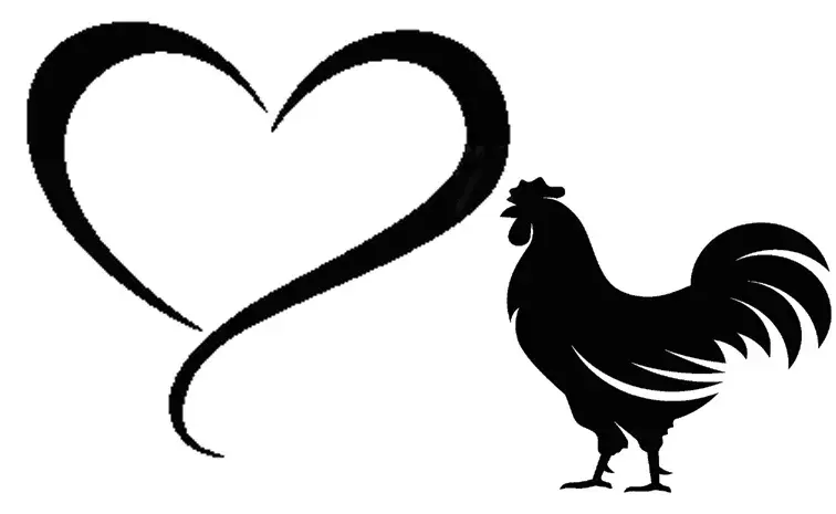 Bhadradri Kothagudem: కోడిపెట్టను ఎరగా వేసి పుంజు ఎత్తుకెళ్లిన దుండగులు!