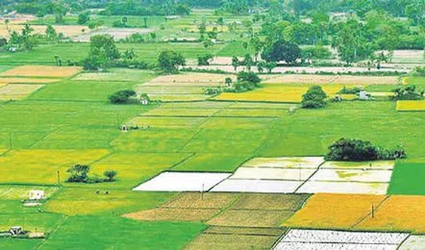 Indications of land prices increasing in Telangana