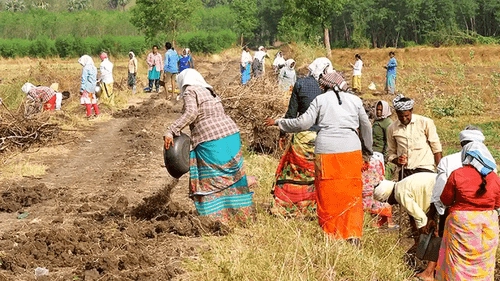 MGNREGA: ఉపాధి హామీ కొత్త కార్డులలో కీలక మార్పులు.. 