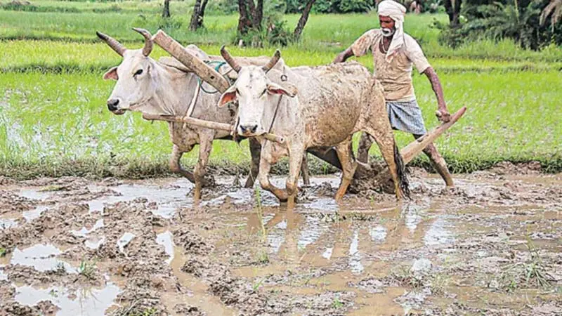 CM Chandrababu: ఏపీ లో రైతులకు బాబు కొత్త కార్యక్రమం