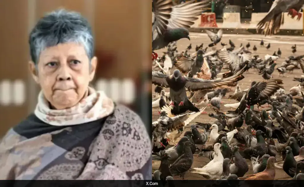 Court: పక్షులకు మేత వేసిన బామ్మ.. 2 లక్షల ఫైన్