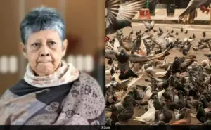 పక్షులకు మేత వేసిన బామ్మ.. 2 లక్షల ఫైన్