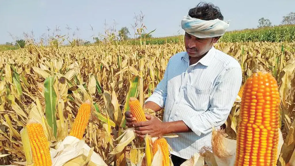 Trade Deal: భారత్–అమెరికా ఒప్పందంతో ముంచుకొస్తున్న ప్రమాదాలు ఇవే..