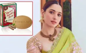 తమన్నా ఎంపిక వెనుక అసలు కారణాలు చెప్పిన మంత్రి