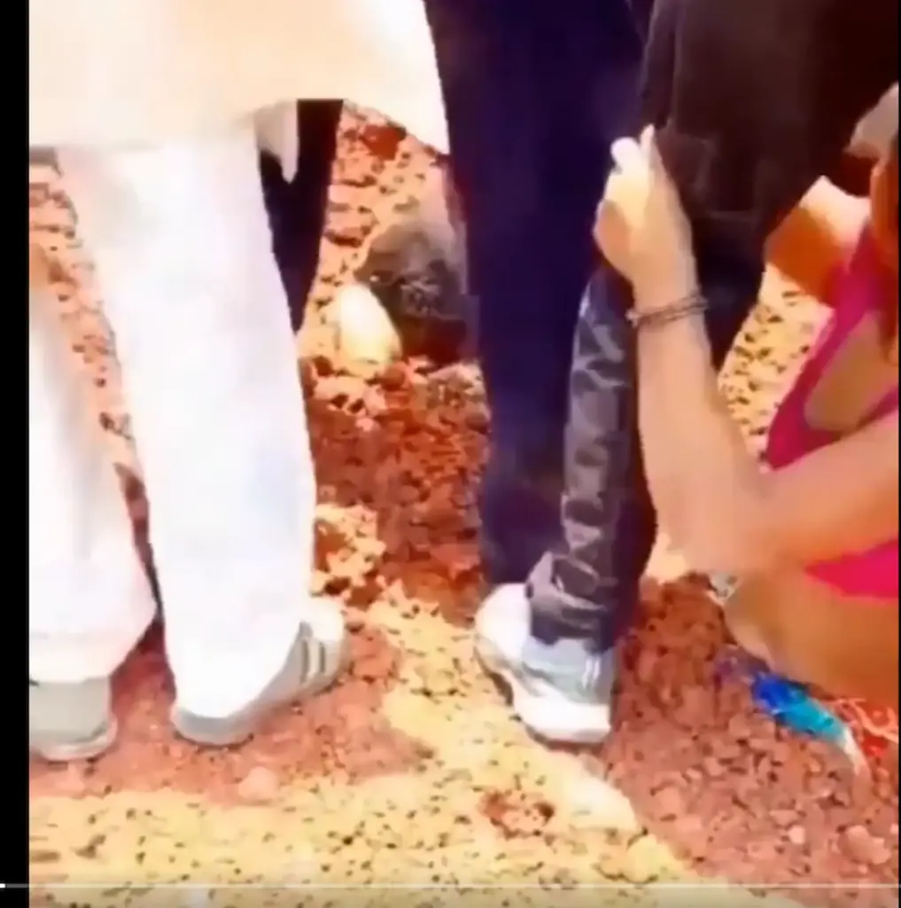 Madhya Pradesh: పరిహారం అడిగినందుకు ఇద్దరు మహిళల్ని సజీవంగా పూడ్చిన గూండాలు