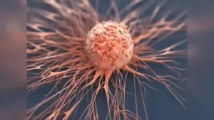 క్యాన్సర్ ముందస్తు సంకేతాలు