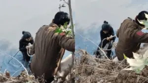 రీల్స్ తీస్తూ నీటిలో పడిన బాలిక..