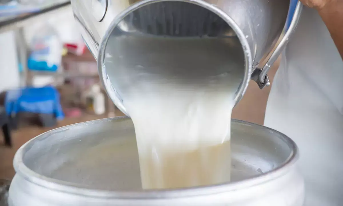 కల్తీ పాల ఘటన: ఫోరెన్సిక్ నివేదికలో షాకింగ్ నిజాలు