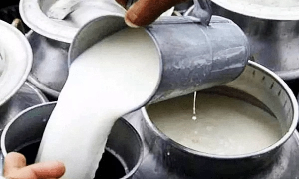 AP Adulterated Milk