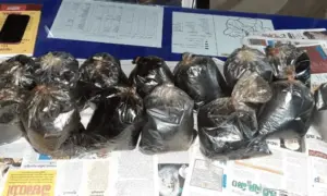 గుంటూరులో లిక్విడ్ గంజాయి ముఠా అరెస్ట్