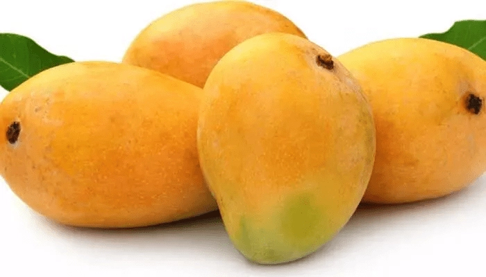 Are you eating mangoes before Ugadi?