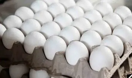 AP Egg Prices Fall: ఏపీలో భారీగా పడిపోయిన కోడిగుడ్ల ధరలు