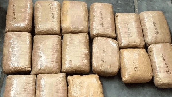 East Godavari Crime: పామాయిల్ తోటలో భారీగా గంజాయి పట్టివేత