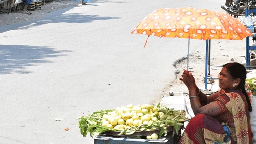 Weather in Telugu States