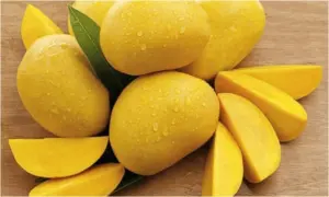 ఉగాది రాకముందే మామిడి పళ్లు తింటున్నారా?