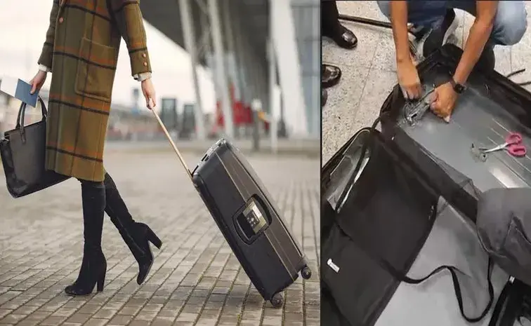 Ganja Seized: శంషాబాద్ విమానాశ్రయంలో గంజాయి పట్టివేత