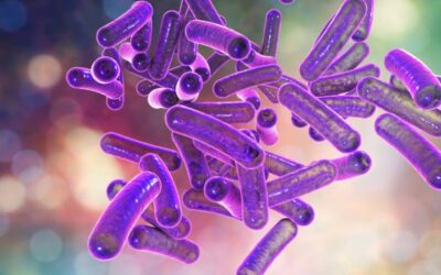 Shigella Disease : కేరళంలో షిగెల్లా వ్యాధి.. చిన్నారి మృతి!