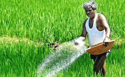 Ramagundam Fertilizer