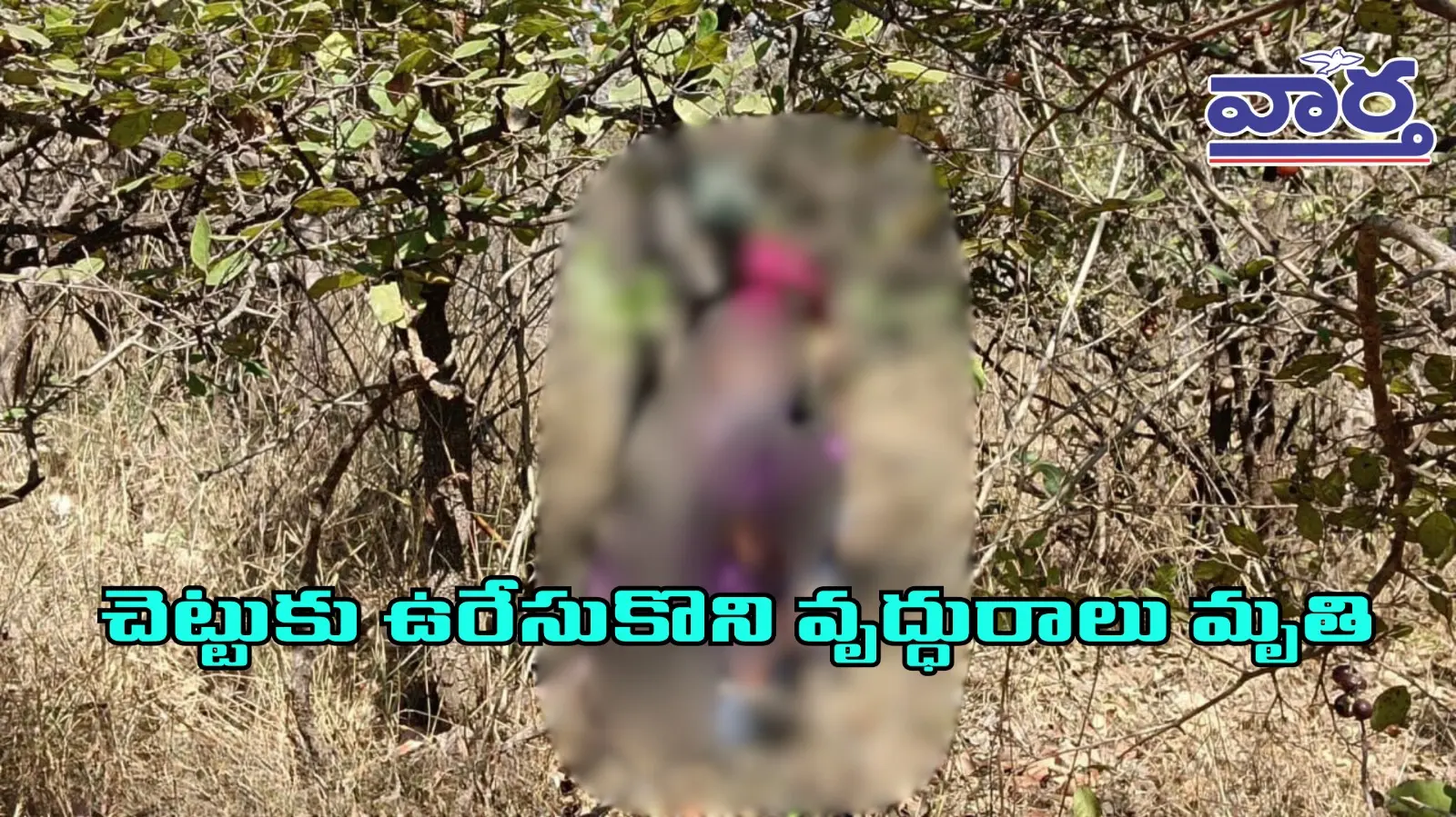 పుత్రశోకంతో వృద్ధురాలు బలవన్మరణం