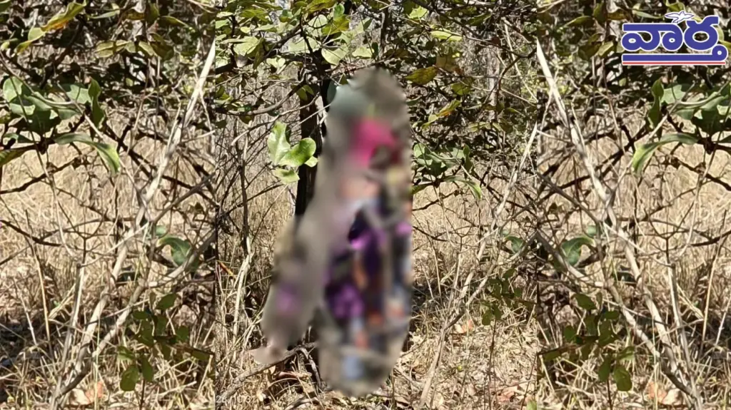 Narsingi crime: Elderly woman commits suicide due to grief over her son