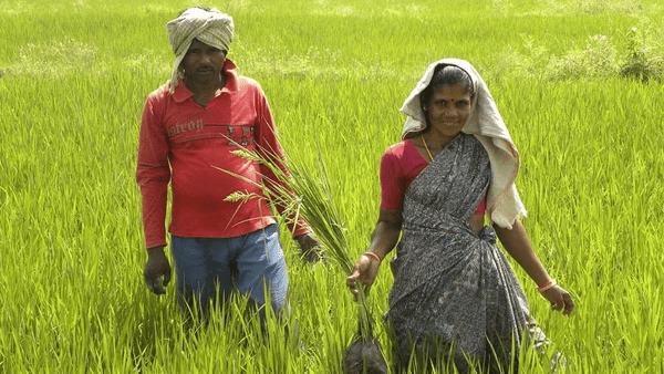 Andhra Pradesh: New Pattadar Passbooks for 69 Lakh Farmers