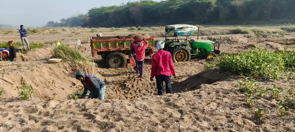 manjira-river-illegal-sand-mining-sarafpalli-choutakur-mandal