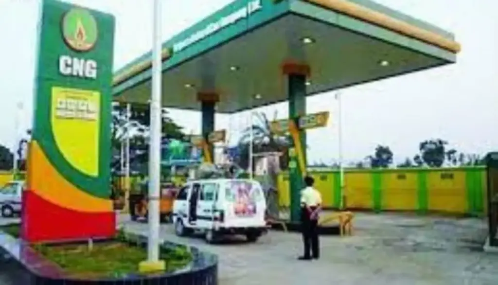 CNG, PNG: CNG, PNG... Will those who use piped natural gas for cooking no longer have problems?