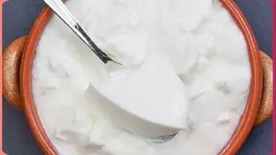 Adulterated Curd: హైదరాబాద్‌లో కల్తీ పెరుగు దందా.. 2,500 కిలోలు స్వాధీనం