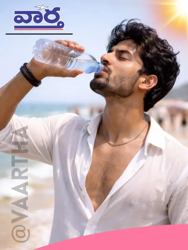 వేసవిలో  ఆరోగ్యం కాపాడుకోవడానికి  ఇ  10 చిట్కాలు పాటిస్తే చాలు ..