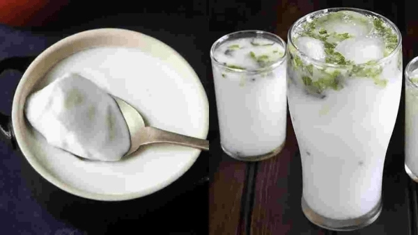 Which is better for health, curd or buttermilk?