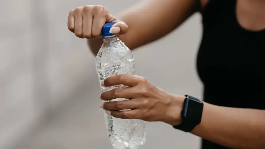 Delhi: కన్సర్ట్‌లో నీళ్ల బాటిల్ రూ.100.. షాక్‌లో సంగీత ప్రియులు