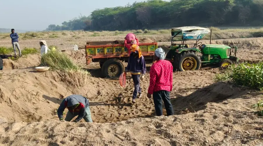 manjira-river-illegal-sand-mining-sarafpalli-choutakur-mandal