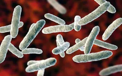 Kerala virus outbreak : కేరళలో కొత్త వ్యాధి భయం, షిగెల్లా కేసులు పెరుగుదల