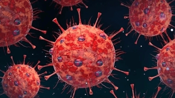 Human Metapneumovirus is terrorizing America