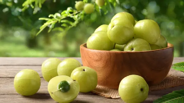 Amla Benefits: ఫ్యాటీ లివర్‌కు చెక్ పెట్టే ‘ఉసిరి’: కాలేయ ఆరోగ్యానికి దివ్యౌషధం!