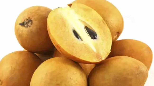 Health Tips: సపోటా పండుతో కిడ్నీ రాళ్లు, బరువు పెరుగుతారా?