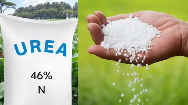 Urea App: యూరియా యాప్ లో కీలక మార్పులు
