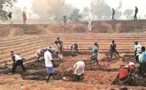 ఉపాధి హామీ పథకానికి సాంకేతిక ఆటంకాలు