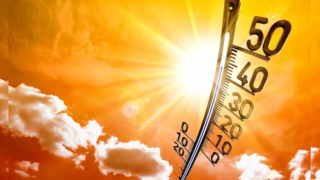 Heat wave Exgratia: తెలంగాణలో వడదెబ్బ మరణాలకు ₹4 లక్షల పరిహారం!