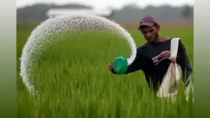 ఖరీఫ్ సీజన్‌కు సరిపడా ఎరువుల నిల్వలు