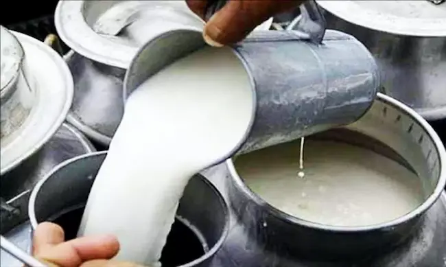 Rajahmundry milk adulteration