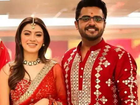Hansika Motwani Divorce