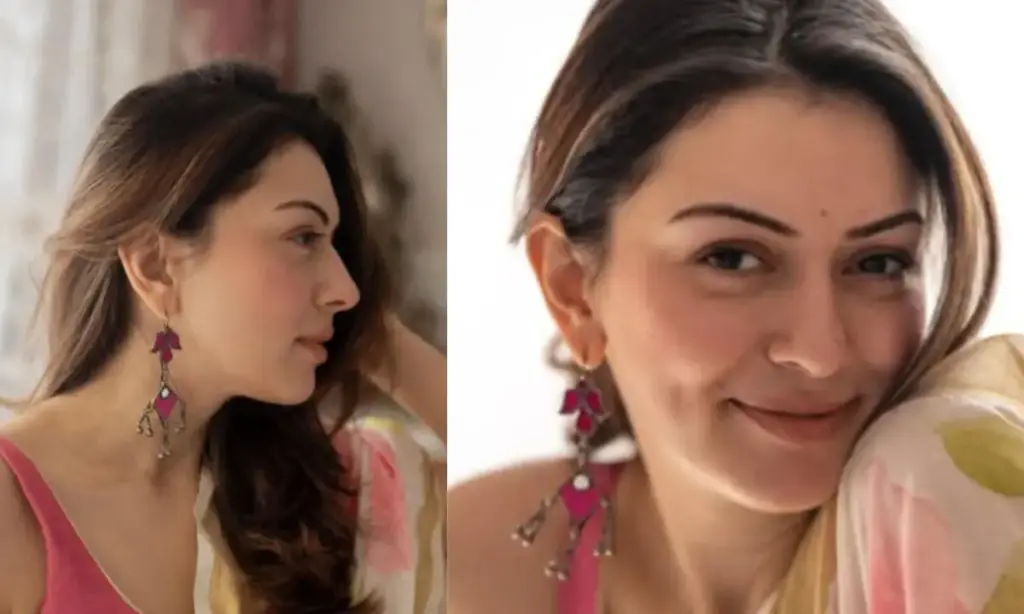 Hansika Motwani: Hansika's first post after divorce