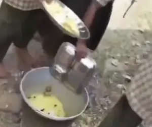 మూడు నెలలుగా భోజనం చెత్త బుట్టల్లో.. ఎన్టీఆర్ జిల్లాలో కలకలం