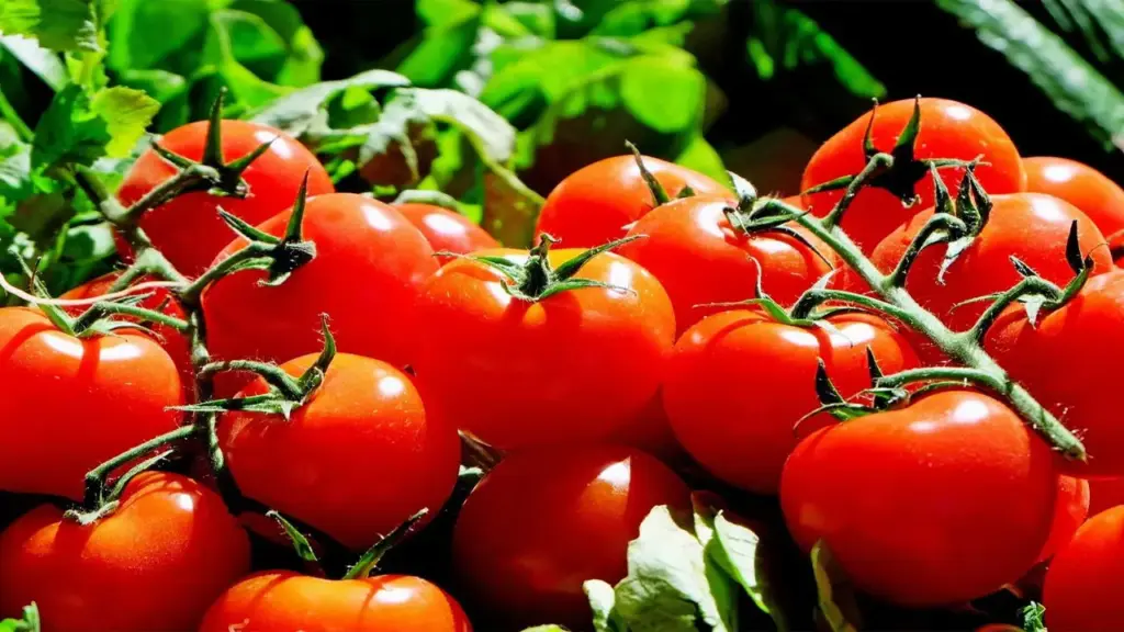 Tomato Price Hike: Prices of essential commodities skyrocket in Dubai